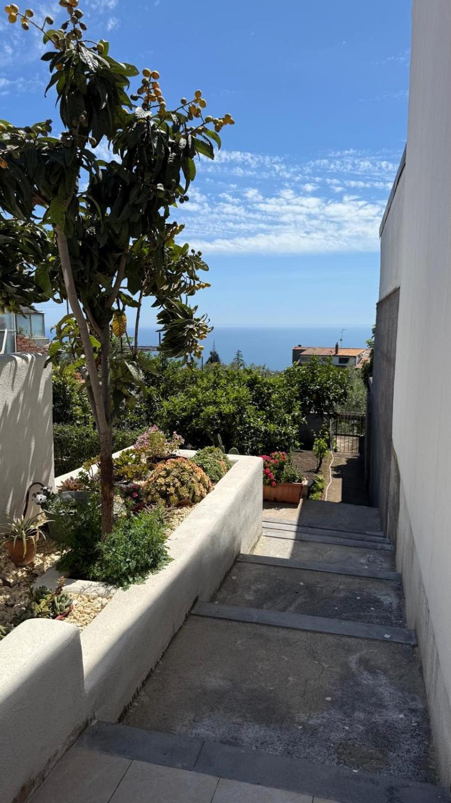 Mosa House Aci Castello